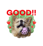 ミルク＊120％（日常編）（個別スタンプ：7）