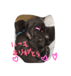 にゃんもも達（個別スタンプ：2）