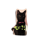 にゃんもも達（個別スタンプ：4）