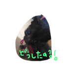 にゃんもも達（個別スタンプ：6）