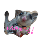 にゃんもも達（個別スタンプ：8）