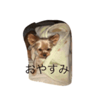 湯都無2（個別スタンプ：1）