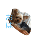 湯都無2（個別スタンプ：3）