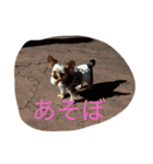 湯都無2（個別スタンプ：9）