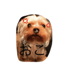 湯都無2（個別スタンプ：10）