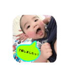豆柴ポンちゃん ＆ 赤ちゃんつっくん（個別スタンプ：6）