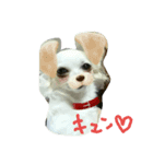 janne（個別スタンプ：2）