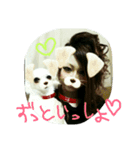 janne（個別スタンプ：4）