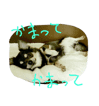janne（個別スタンプ：5）