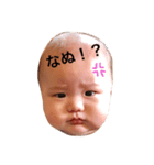 赤さーん（個別スタンプ：1）