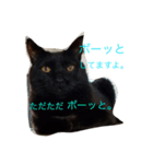 菅原家の動物達（個別スタンプ：15）