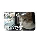 nicomilpocoma 2（個別スタンプ：3）