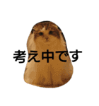 nicomilpocoma 2（個別スタンプ：9）