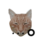 nicomilpocoma 2（個別スタンプ：11）