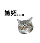 nicomilpocoma 2（個別スタンプ：13）