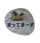 nicomilpocoma 2（個別スタンプ：18）