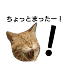 nicomilpocoma 2（個別スタンプ：19）
