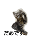 nicomilpocoma 2（個別スタンプ：23）