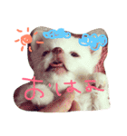うたと竹千代（個別スタンプ：1）