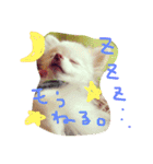 うたと竹千代（個別スタンプ：2）