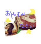 うたと竹千代（個別スタンプ：3）