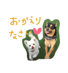 うたと竹千代（個別スタンプ：7）