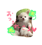 うたと竹千代（個別スタンプ：8）