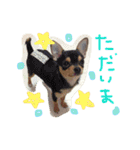 うたと竹千代（個別スタンプ：9）