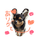 うたと竹千代（個別スタンプ：10）