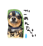 うたと竹千代（個別スタンプ：14）