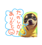 うたと竹千代（個別スタンプ：17）