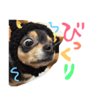 うたと竹千代（個別スタンプ：31）