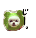 うたと竹千代（個別スタンプ：32）