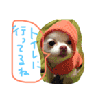 うたと竹千代（個別スタンプ：36）