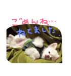 うたと竹千代（個別スタンプ：38）