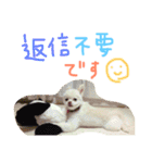 うたと竹千代（個別スタンプ：39）