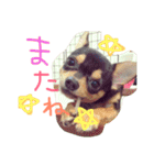 うたと竹千代（個別スタンプ：40）
