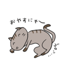 ゆるねこ～くつした～（個別スタンプ：2）