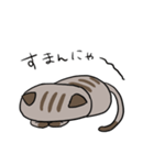 ゆるねこ～くつした～（個別スタンプ：8）