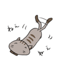 ゆるねこ～くつした～（個別スタンプ：11）