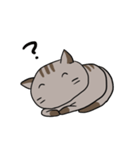 ゆるねこ～くつした～（個別スタンプ：16）