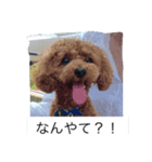 tsubasan（個別スタンプ：4）