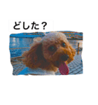 tsubasan（個別スタンプ：5）