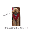 tsubasan（個別スタンプ：6）