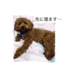 tsubasan（個別スタンプ：8）