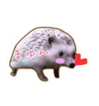 ハリネズミのたわし（個別スタンプ：3）