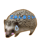 ハリネズミのたわし（個別スタンプ：4）
