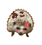 ハリネズミのたわし（個別スタンプ：5）
