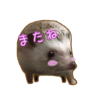 ハリネズミのたわし（個別スタンプ：6）