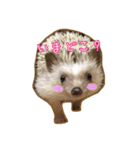 ハリネズミのたわし（個別スタンプ：7）